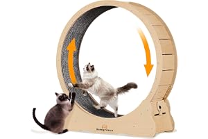 Homegroove XXL kattträningshjul, 52in / 132 cm stort katthjul | Kattlöpband i massivt trä med integrerat säkerhetslås, ryggju
