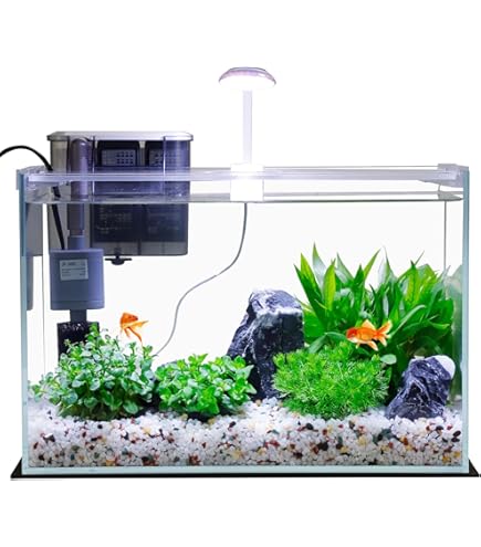 Tetra Crescent Acrylic Aquarium Kit: this 4 you