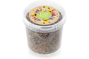 HAPPYSEED 1 kg de graines de prairie colorées pour un pâturage fleuri - sauvages multicolores & riches en nectar pour abeilles & papillons (ebook GRATUIT inclus)