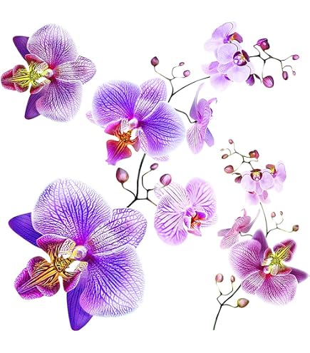 Stickers Lave Vaisselle Orchidées - Art Déco Stickers
