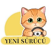 Parti Tasarla Yeni S&uuml;r&uuml;c&uuml; Sevimli Kedi Araba Etiketi &amp; Sticker - &Ccedil;ok Renkli - 20x15 cm - Kendinden Yapışkanlı