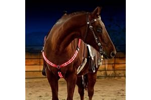 SSZYace Adjustable LED Horse Breastplate Collar, Nylon LED Night Flashing Light Bar Harness Tack Equestrian Safety Gear with 3 Lighting Modes and USB Rechargeable (Red)