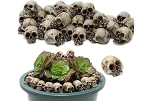 NHYDZSZ 20 Pezzi Mini Teschi Decorativi Testa Di Scheletro Piccoli Ornamento Scheletro Decorazione Teschio Di Halloween Per Halloween, Casa Infestata Decorativo,Ornamenti Per Vasi Da Giardino