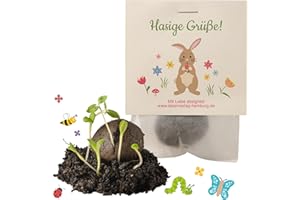 IDEENVERLAG HAMBURG 10x "Hasige Grüße" Samenbomben als Mitgebsel Ostern Geschenk Ostern Aufmerksamkeit Ostern Give-aways Ostern Kinder Osterüberraschung Osternest Seedbombs Partytüten Mitgebseltüten Geschenktüten Hasen