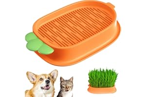 Kunoli Kit per la crescita dell'erba dei gatti, idroponica, per cani e gatti