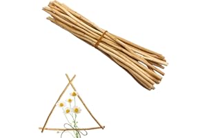 ZAHD 25 piezas Palos Artesanales Naturales，Varillas Madera Natural Palitos Palo De Madera Natural Varillas Manualidades DIY Proyectos Artesanías Modelo Naturales Delgadas Palos de Madera Delgadas