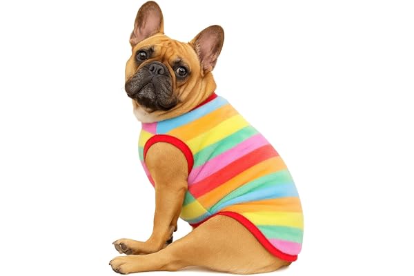 KUTKUT Velvet Fleece Shirt Stripes Pattern Button Closure Warm Sweatshirt for Small Dogs Cats Boy Girl Winter Thermal Pullover Clothes for Puppy French Bulldog,Pug etc(Size:M,Chest:40cm,Length:25cm)