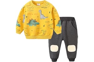 Gajaous 2PCS Toddler Pullover Sweatshirt+Jogging trousers Sets, Baby Boy Clothes Outfits Casual Tracksuit