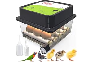 Okköbi OBI-12 Incubadora huevos gallina automática para pollos, patos y otros pájaros + NUEVO 2024 + Giro automático de huevos, control de temperatura y visor de humedad + GARANTÍA DE 5 AÑOS