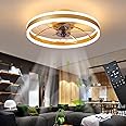 OMGPFR LED Ceiling Fan with Lights, Reversible Remote, 6 Speeds Modern Bedroom Fan Light, Quiet Dimmable Small Ceiling Light for Living Room, Gold 50CM