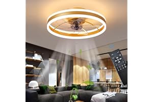 OMGPFR Reversible Led Ventilador Techo con Luz Silencioso y Mando 6 Velocidades Dormitorio Lamparas Ventilador de Techo Salon Moderno 24W Regulable Pequeño Luz Techo, Oro 50CM
