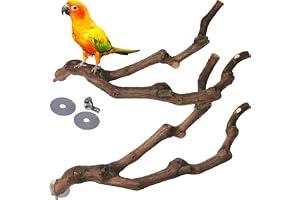 kathson Natural Parrot Perch Bird Stand Pole Wild Grape Stick Paw Grinding Fork Parakeet Climbing Standing Branches Toy Chewable Cage Accessories for Small Budgies Cockatiels Lovebirds 2PCS