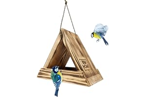 IDEA HOME LEVIATAN 121050 Mini casetta per uccelli in legno su una catenina, mangiatoia per uccelli selvatici, da appendere per tutto l'anno, Pronto all'uso, non richiede montaggio