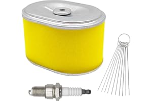 Filtre à air YGQ AFZE18 compatible avec moteur Honda GX160 GX200 GX140 5,5 HP 6,5 HP Predator Hemi 60363 Coleman Ct200u Bt200x MB165 MB200 159cc 196cc 212cc 17210-ZE1-505 avec bougie d'allumage