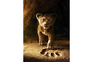 HUASHUZI Quadro 5D Diamond Painting Leone Deco Diamond Painting Pittura per adulti bambini 30 x 40 cm regalo decorazione da parete in soggiorno