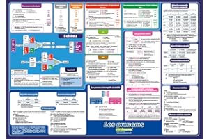mindmemo Lernposter - Les pronoms - Die französischen Pronomen lernen Grammatik verständlich erklärt Lernhilfe kompakt Zusammenfassung Poster DIN A2 ... DIN A2 42x59 cm PremiumEdition in Schutzröhre