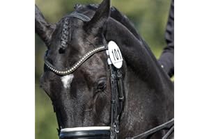Equetech Bridle Dressage Number Holders (Pair) – Equestrian Competition Numbers