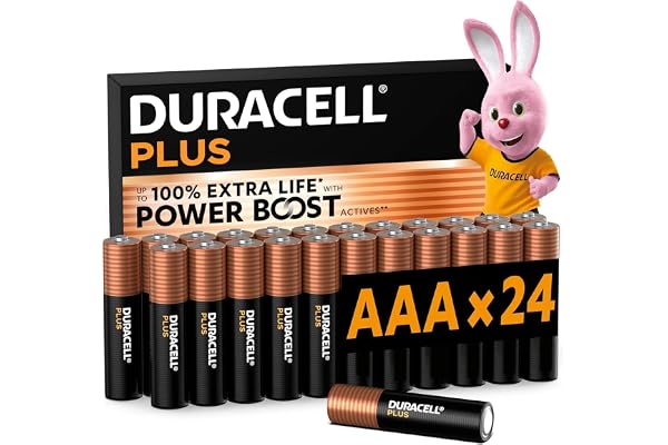 Duracell Plus AAA pack 24