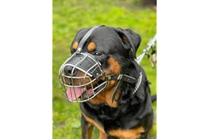 L&J PETS UK Museruola in filo metallico resistente per cani Rottweiler, Mastiff Golden Retriever e altri (R1, argento/pelle nera)
