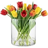 TREND FOR HOME Cylindrical Vase 19 cm Container Decorative Centres Glass Cylinder Vase for Dry Pampas Candlesticks Candle Hol