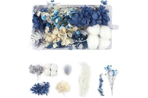 DEZP DEZ Une boîte Fleurs séchées Fleur sechees Naturel Bouquet Fleurs séchées Fleur sechees Decoration Fleurs séchées Vrac Fleurs séchées Bouquet déco Noel