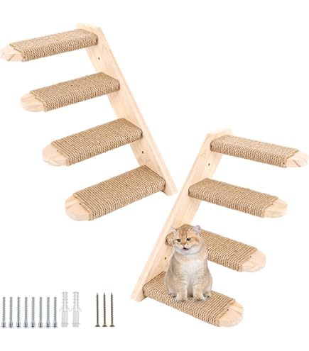 Klimwand voor katten, kattentrappen, set van 3, kattentrap voor aan de muur, kattenklimwandset, kattenladder, kattenwand, klimmen, catwalk kat, kattenmuur klimmen, M