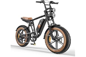 HillMiles MileZoom1 Bici Elettrica Uomo,Batteria Rimovibile 832/1664 Wh, Autonomia Massima 130/260Km, Velocità Massima 25Km/h, Pneumatici Fat 20 * 4.0,Cambio 7 Velocità Completa per Tutti i Terreni