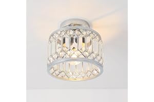 ANWIO Hallway Lights Ceiling,Ceiling Lights Living Room,Kitchen Lights Ceiling,E27 Light Shade Ceiling,Silver Chandelier,Morden Crystal Lounge Ceiling Light,(LAMP DIAM 20.5CM)