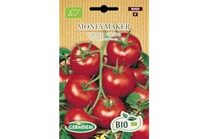 Germisem Orgánica Moneymaker Semillas de Tomate 0.5 g