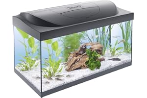 Tetra Starter Line LED – Aquarium Robuste Prêt à l’emploi - Pack complet : éclairage LED, filtre, cartouches, chauffage – Kit de démarrage : nourriture pour poissons, produit entretien de l’eau – 54 L