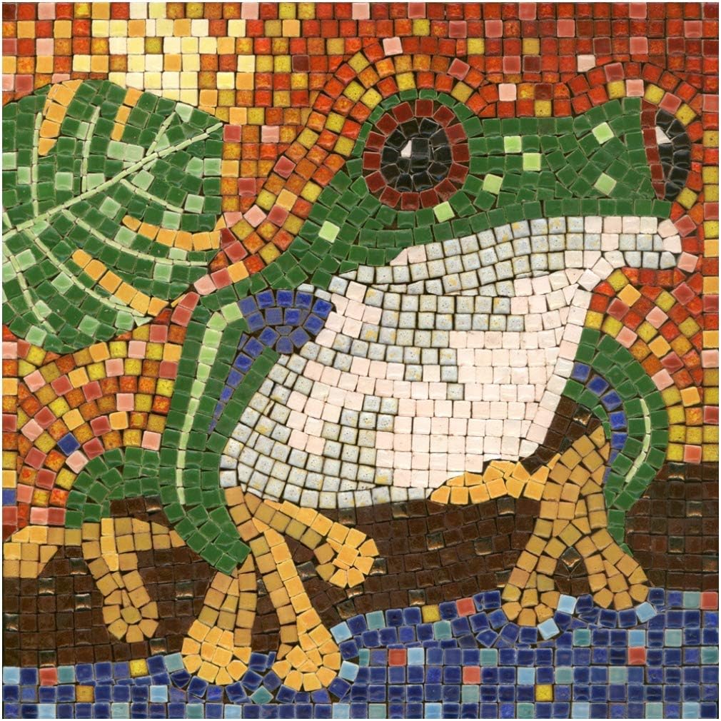 kit mosaico DIY manualidades, 20x20cm Rana