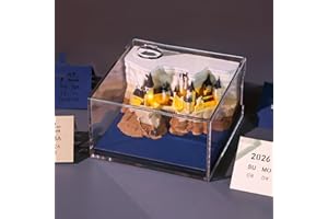 WINWJ 3D Kalender 2026 Abreißen, 3D-Notizblock Tischkalender-Notizblock mit Licht, 3D Castle Wochenkalender mit Stifthalter, Kreative 3D Papierskulptur mit Glasklarem Anzeigebox, DIY Desktop Ornament