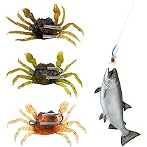 Bait Elastic Per Impianto Morto Esca Elastica Con Dispenser Tubo - Foto 7