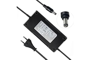 YZPOWER Ladegeräte für Scooter 42V 5A Ladegerät Elektrofahrrad E-Bike für 36V Lithium Akku Ladegerät Selbstausgleichender Roller Ladekabel mit DC 5.5 mm2.1 mm