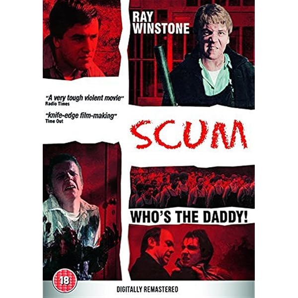 The Firm: Special Collector's Edition (DVD) [UK Import]: Amazon.de