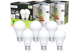 sailsco Classe B Lampadine LED E27,5.7W Equivalente a 75W Incandescenza,1055 Lumen, 2700K Bianco Caldo,Risparmio Energetico LED A60,Lunga Durata,Basso Consumo,Non Dimmerabile,6 Pezzi