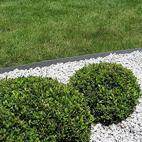 ECOLAT Rasenkante Rasenband Beeteinfassung Beetumrandung 12 x 0,7 cm 25m grau - 3