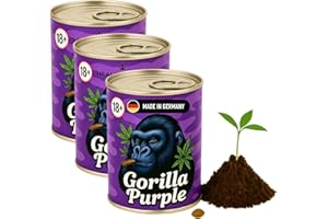 MB-MÜLLER Cannabis Anbau Starter-Kit/Set für 1 Automatic Hanf/Weed Pflanzen inkl. Dünger und Growanleitung für Anfänger (Gorilla Purple 3er Set)