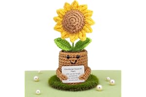 SNYVPRA Gute Besserung Geschenke, Pocket Hug Sonnenblume Mit Positiver Karte, Positive Potato ,Aufmunterung Geschenke Für Freunde Und Familie, Sonnenblume Geburtstag Frau, Emotional Support Pflanzen Deko