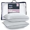 Silentnight Luxury Hotel Collection Piped Pillow - Hotel Quality Stylish Pillow Soft Medium Support for Back & Side Sleepers - Filled with Finest Fibres, Hypoallergenic and Machine Washable, Pack of 2