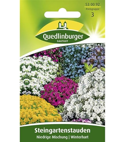 150 Stck kriechender thymian samen mehrjhrig winterhart saatgut alte  sorten geschenke fr gartenfreunde kruter pflanzen balkon krutersamen  winterharte pflanzen fr garten : Amazon.de: Garten