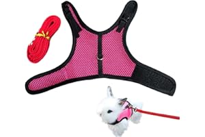 CHIPKART Small Pet Harness, No Pulling Comfort Vest, Guinea Pig Harness and Leash Set for Ferret, Rats, Bunny, Hamster(L)