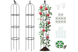 SUNYRISY Gabbie da giardino per piante rampicanti come fiori, pomodori, rose, ecc., resistenti alle intemperie, in metallo rivestito