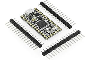 Adafruit ItsyBitsy M0 Express Onboard ATSAMD21 Cortex M0 I2C SPI 23 GPIO Serial with 2MB of SPI Flash for Data Logging File Storage Use for CircuitPython & Arduino IDE 48 MHz 3.3V Logic 3727
