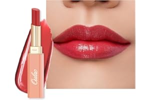 Oulac 2 in 1 Pintalabios y Bálsamo Labial, Barra de Labios Hidratante Textura Ligera y No Pegajosa, con Manteca de Karité Para Labios Agrietados y Secos, Color Intenso, Acabado Brillante, Vegan 01