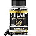 2 Months Supply Shilajit with Ashwagandha Advanced Granular Biotechnology | 70% Fulvic Acid | Slow Release Maximum Absorption
