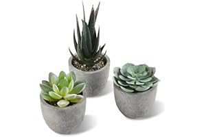 ALANGDUO Künstliche Sukkulenten im Topf, Mini Sukkulenten Künstliche, Kleine Kunstpflanze Wie Echt mit Topf, Dekorative Kunstpflanze für Hochzeit, Büro, Zuhause, Wohnzimmer, Badezimmer Dekoration