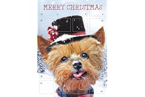 Tracks Advent Calendar Cute Puppy Dog Hat Snow Glitter Finish