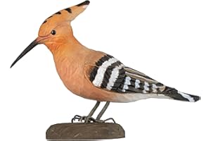 WILDLIFEGARDEN Wildlife Garden WG4472 DecoBird Abubilla - Pájaro decorativo tallado a mano de madera - Grandes pájaros europeos