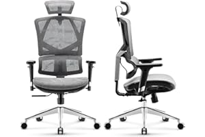‎SIHOO SIHOO Ergonomiczne krzesło biurowe, komputerowe krzesło biurowe Oddychająca siatka z wysokim oparciem z regulowaną wysokością oparcia, ramionami 3D, zagłówkiem i dynamicznym podparciem lędźwiowym (szary)